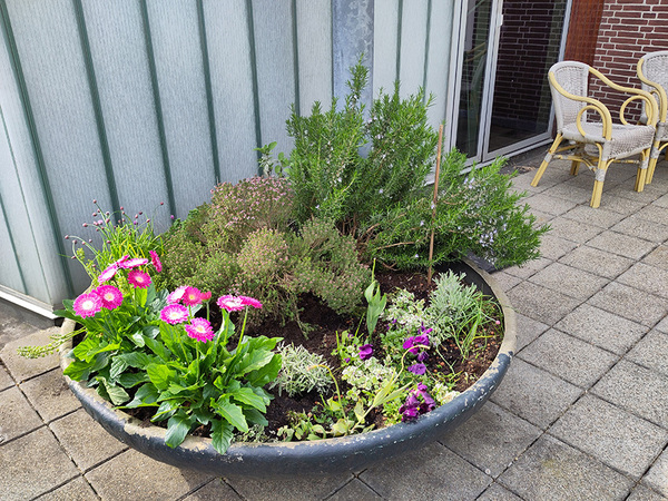 20240430-tuincommissie-1