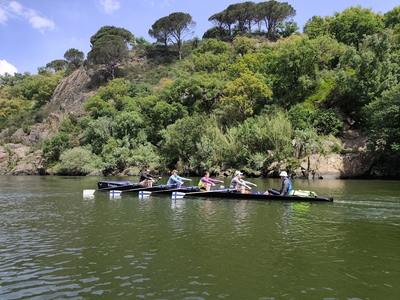Roeien op de Douro Roeien op de Douro