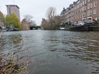 takkenbosfoto-2 takkenbosfoto-2